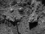 Piedras redondas desenterradas por el <i>Opportunity</i> en Marte.