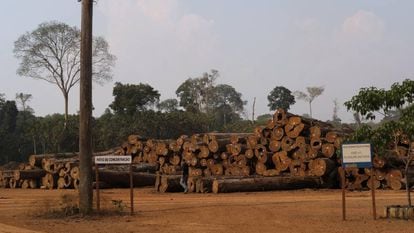 Uma pilha de troncos em uma empresa madeireira na Floresta Nacional de Jacundá, em Rondônia.