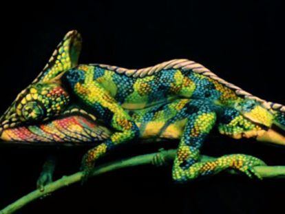 O artista italiano Johannes Stötter engana os olhos humanos com suas criações de  bodypainting 