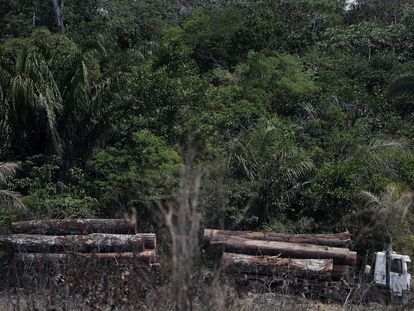 Um caminhão transporta madeira obtida ilegalmente na floresta amazônica, registrado em agosto deste ano.