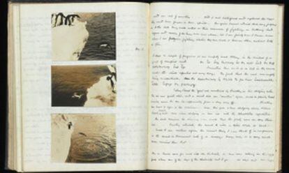 Caderno de notas de George Murray Levick sobre os pingüinos.