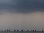 Enoshima (Japan), 26/07/2021.- Sailors compete under a dark sky during the Laser Radial Class discipline in the Sailing events of the Tokyo 2020 Olympic Games in Enoshima, Japan, 26 July 2021. (Japón, Tokio) EFE/EPA/CJ GUNTHER