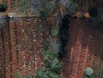 Open and occupied graves are seen during the outbreak of the coronavirus disease (COVID-19), at Vila Formosa cemetery, Brazil's biggest cemetery, in Sao Paulo, Brazil, May 22, 2020. Picture taken with a drone.  REUTERS/Amanda Perobelli     TPX IMAGES OF THE DAY