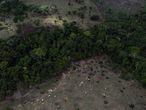 Desmatamento em torno de área indígena na Amazônia.