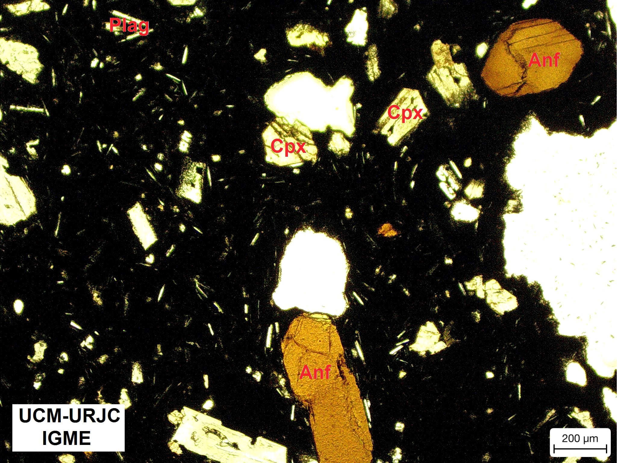 A imagem, feita com microscópio petrográfico, mostra a composição da lava que devorou a igreja de Todoque. Em uma superfície estão expostos os minerais mais abundantes: plagioclásio, clinopiroxênio e anfibólios. 