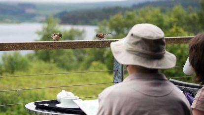 Parque florestal de Kielder, em Northumberland, é considerado o lugar mais silencioso do Reino Unido.