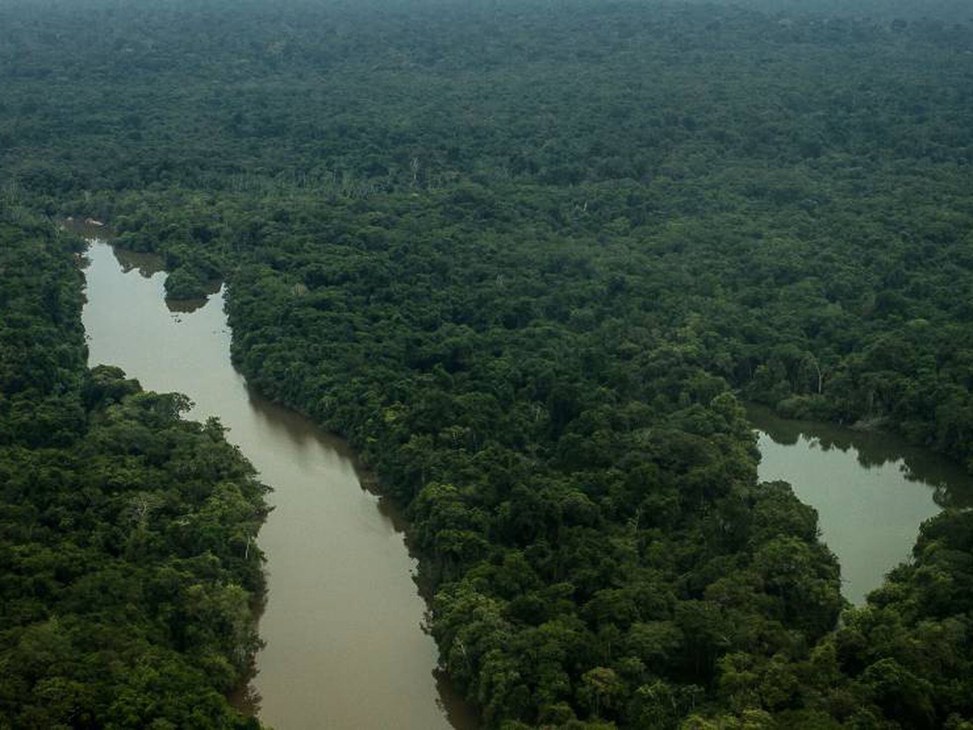 Amazônia ameaçada: Colniza, um retrato do desmatamento em Mato Grosso