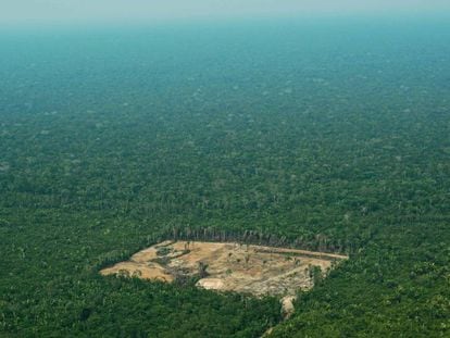 Imagem de setembro de 2017 de região desmatada na região da Amazônia brasileira. 