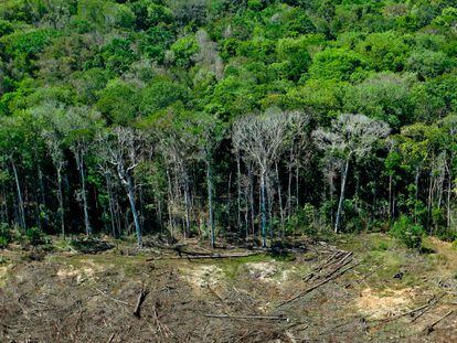 Imagem de arquivo mostra área de desmatamento em Mato Grosso em agosto de 2020.