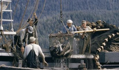 Pescadores colocam em seu barco salmões recém-capturados em Ketchikan, Alasca.