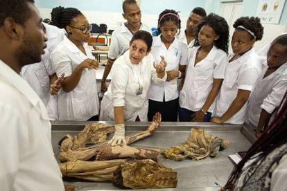A médica Vallentina Cuello Vargas usa um cadáver para explicar o sistema vascular a alunos de anatomia do primeiro ano, na Escola Latino-Americana de Medicina (ELAM).