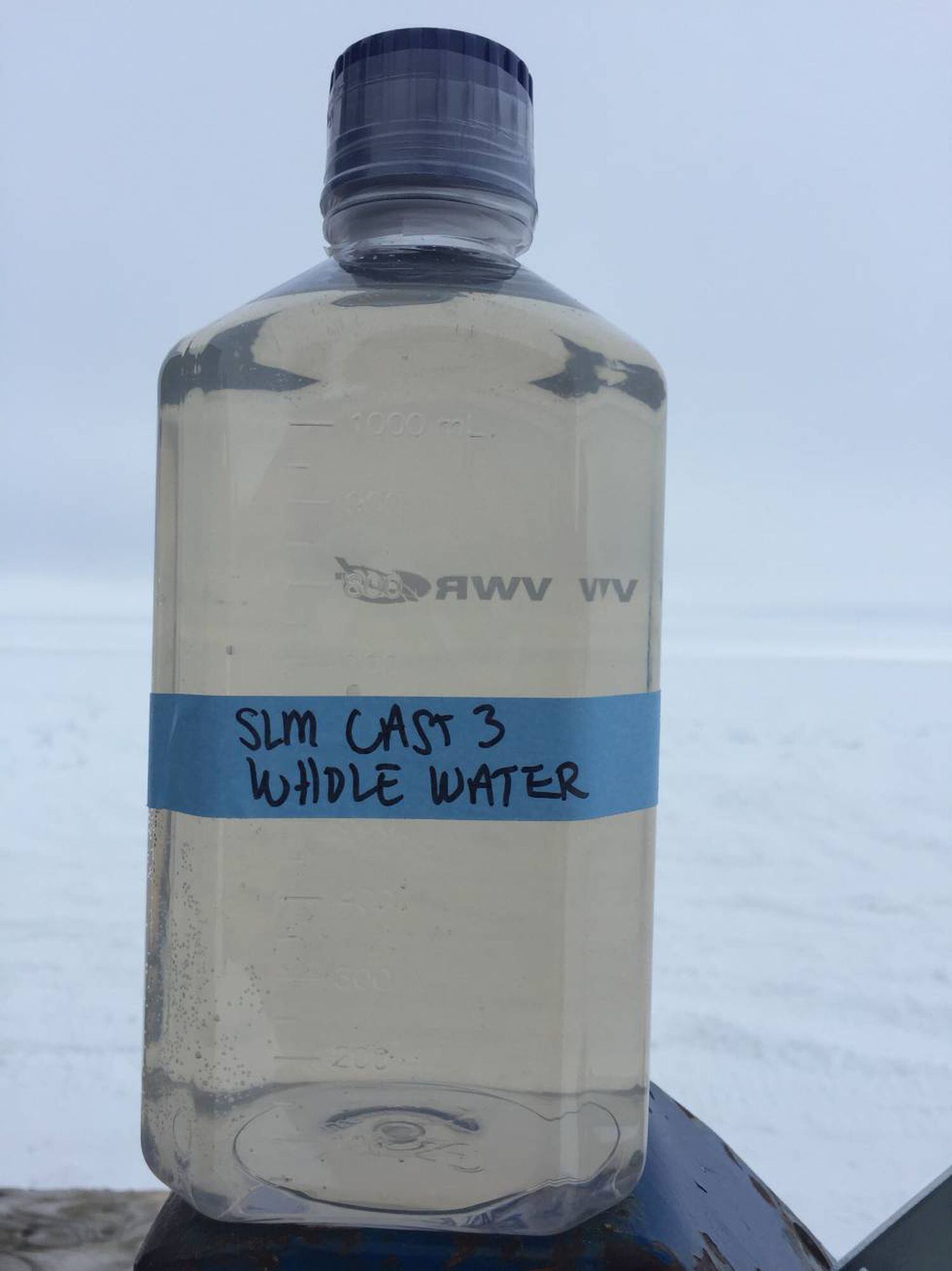 Uma amostra de água extraída do lago Mercer.