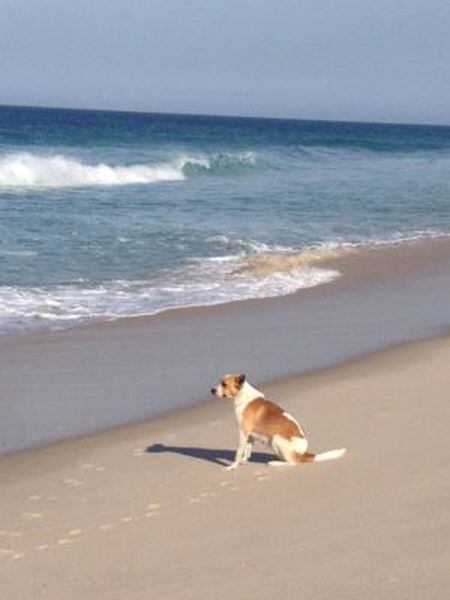 Vitória, na praia.