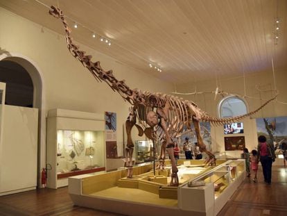 Fóssil de dinossauro exposto no Museu Nacional, destruído em incêndio no dia 2 de setembro.