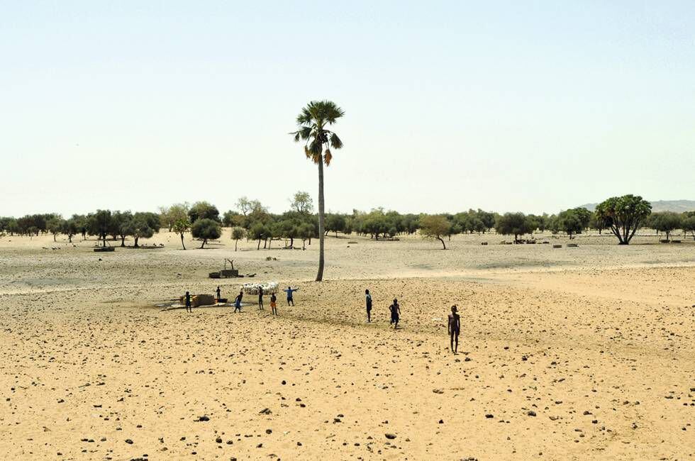 <b>Sahel.</b> Uma paisagem desértica nesta região que une a África do Norte com a zona subsaariana.