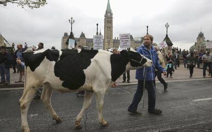 Protestos no Canadá contra o TPP por impacto na indústria de leite.