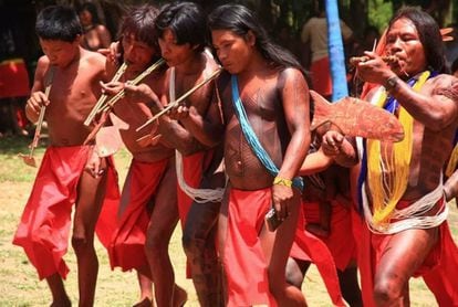 Os indígenas Wajãpi.