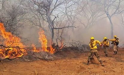 Bombeiros combatem o incêndio que arrasou com centenas de hectares de floresta.