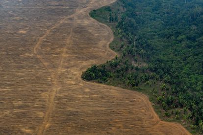 Uma área da floresta amazônica desmatada para plantar soja perto de Porto Velho (RO), em 2019.