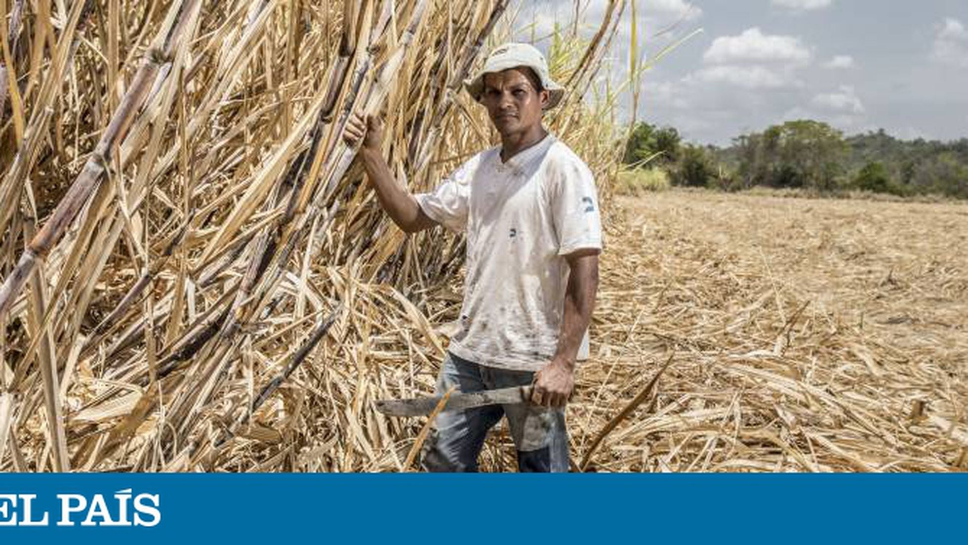 eexistia um dono de cavalo que caiu no poco ele tentou｜Pesquisa