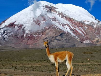 Vulcão do Equador rouba recorde do Everest