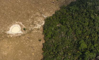 Pedaço de floresta próxima a área usada como pasto perto de Porto Velho, Roraima.