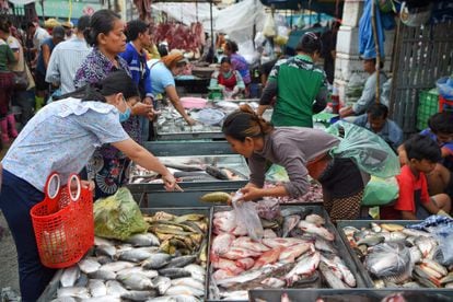 Mercado em Phnom Penh, Camboja, em 24 de julho.