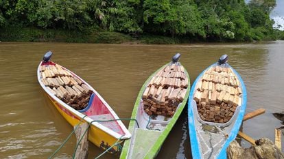 Canoas carregadas de madeira balsa extraídas na região do rio Pastaza e prontas para serem desembarcadas em Copataza, na Amazônia equatoriana.