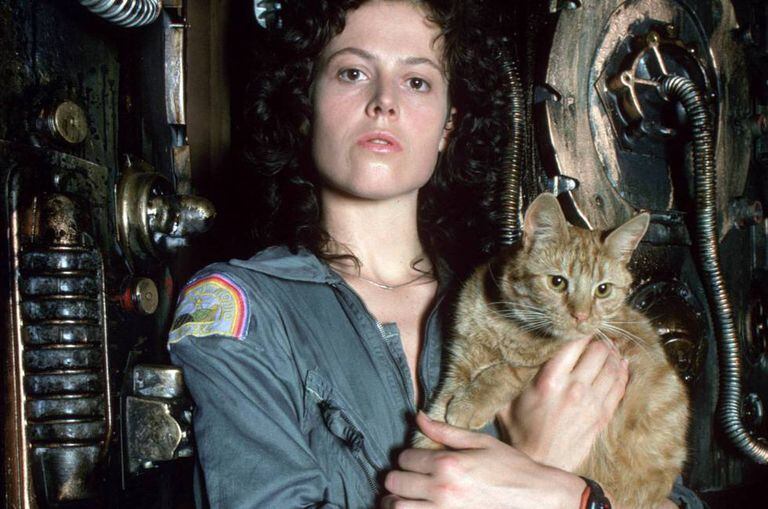 Um dos gatos mais famosos do cinema: Jones, de 'Alien' (Ridley Scott, 1979). Curiosamente, o alienígena atacava os humanos, mas não o felino.