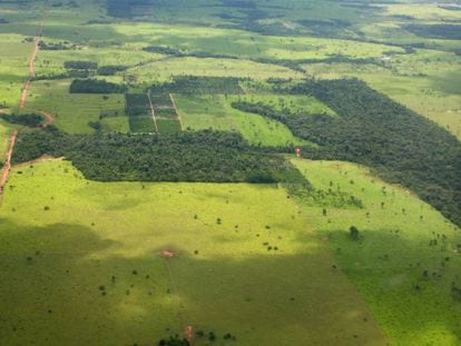 A Amazônia, por exemplo, tem cada vez mais descampados