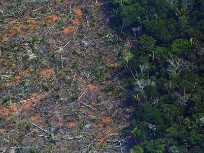 Imagem de área da Amazônia devastada a 65 km de Porto Velho, Rondônia, em agosto de 2019.