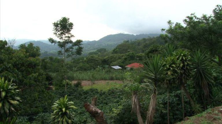Costa Rica quer ser neutra em carbono até 2021.