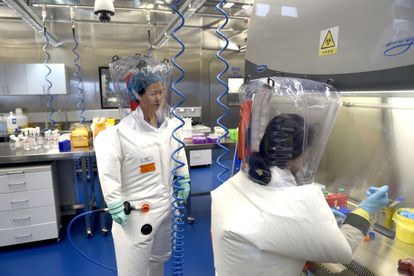 Dois pesquisadores trabalham no Instituto de Virologia de Wuhan, em uma imagem captada em 2017.