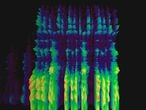 Espectrograma de una voz humana usado en ingeniería de sonido, producción musucal y entrenamiento de inteligencia artificial