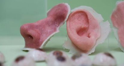 Próteses de nariz e orelha elaboradas com impressoras 3D em uma exposição organizada no Business Design Center de Londres.