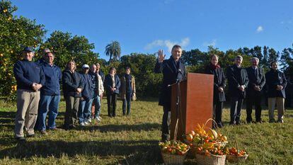 Mauricio Macri, em uma plantação de cítricos em Concordia.