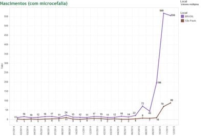 Dados com a evolução dos casos de microcefalia no Brasil e em SP.