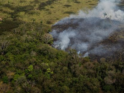 A cerca de 40 quilômetros de Rio Branco, capital do Acre, o fogo consome rapidamente toda a mata virgem e áreas de criação de animais.
