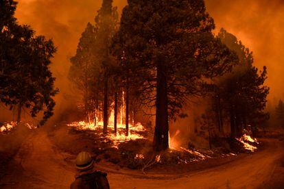 Incêndio em floresta de sequoias na Califórnia, no final de setembro.