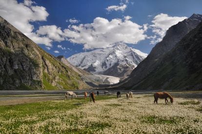 Cavalos pastando nas proximidades de Issyk-Kul, no Quirguistão.