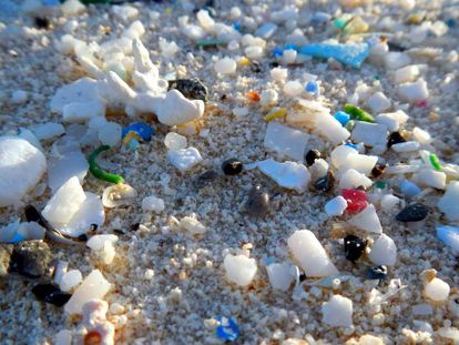 Pequenos fragmentos de plástico, dispersos entre na da praia.