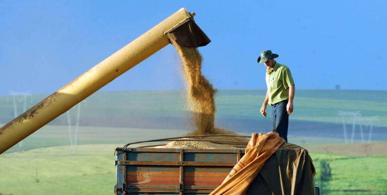 Agronegócio representa um terço da economia brasileira.
