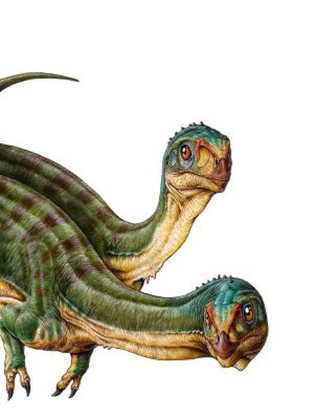 Representação de dois 'Chilesaurus diegosuarezi'