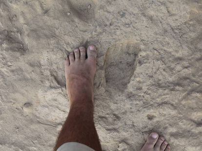 Um pé comparado com uma pegada fóssil de 'Homo erectus'.