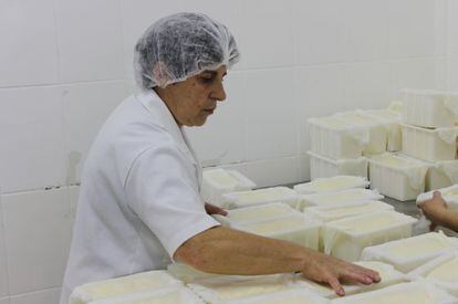 Fábrica de queijos em Santa Catarina.