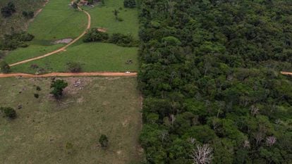 Uma zona arborizada e uma área de cultivo de Rondonia, na Amazonia.