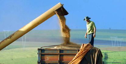 Agronegócio representa um terço da economia brasileira.