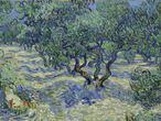'As Oliveiras', quadro do Van Gogh