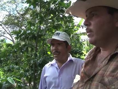 Pequenos agricultores da América Latina chegam a Wall Street