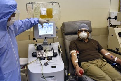 Paciente recuperado doa plasma em um centro de saúde em La Paz, Bolívia, em 10 de junho.